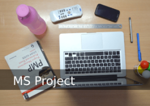 MS Project training course